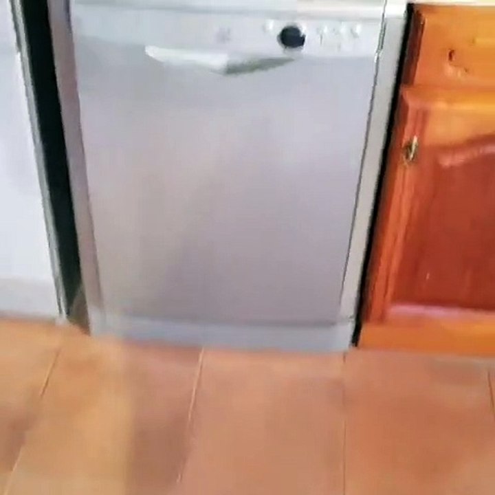 Raminhos coloca a filha na máquina de lavar loiça