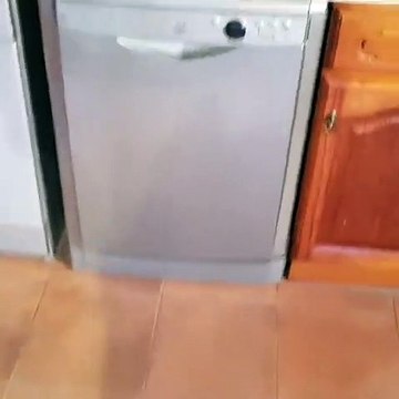 Raminhos coloca a filha na máquina de lavar loiça