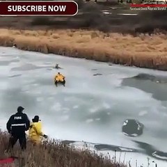Resgate de cão preso em lago de gelo