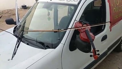 Carro toca violino