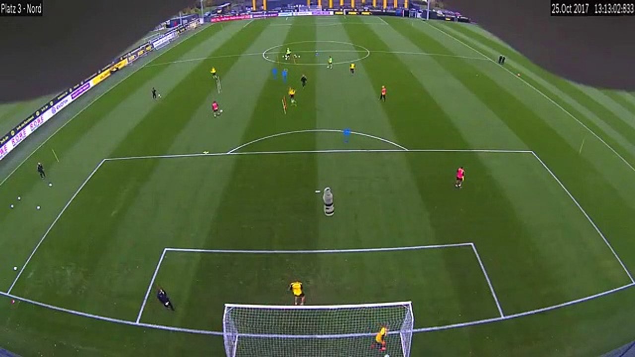 Raphael Guerreiro