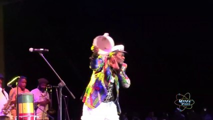 Bongo Herman @ play all type of insturment