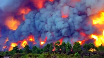 O impressionante inferno em Vieira de Leiria