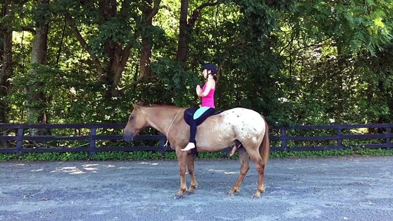 Fazer yoga montada num cavalo
