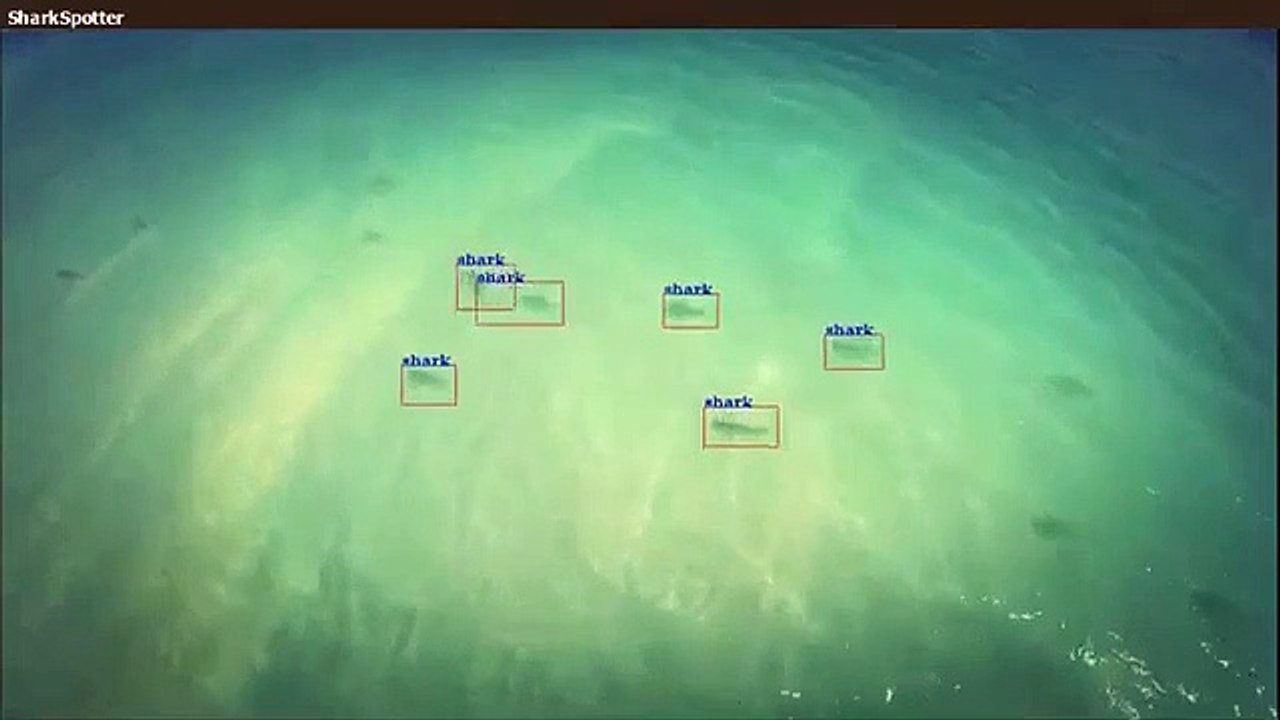 Costa da Austrália terá um novo vigilante tubarões