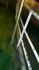 Terroristas de Cambrils armados com explosivos