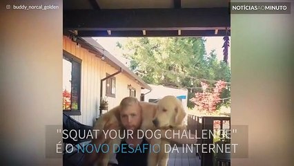 Usar um cão para fazer agachamentos, a nova tendência da Internet