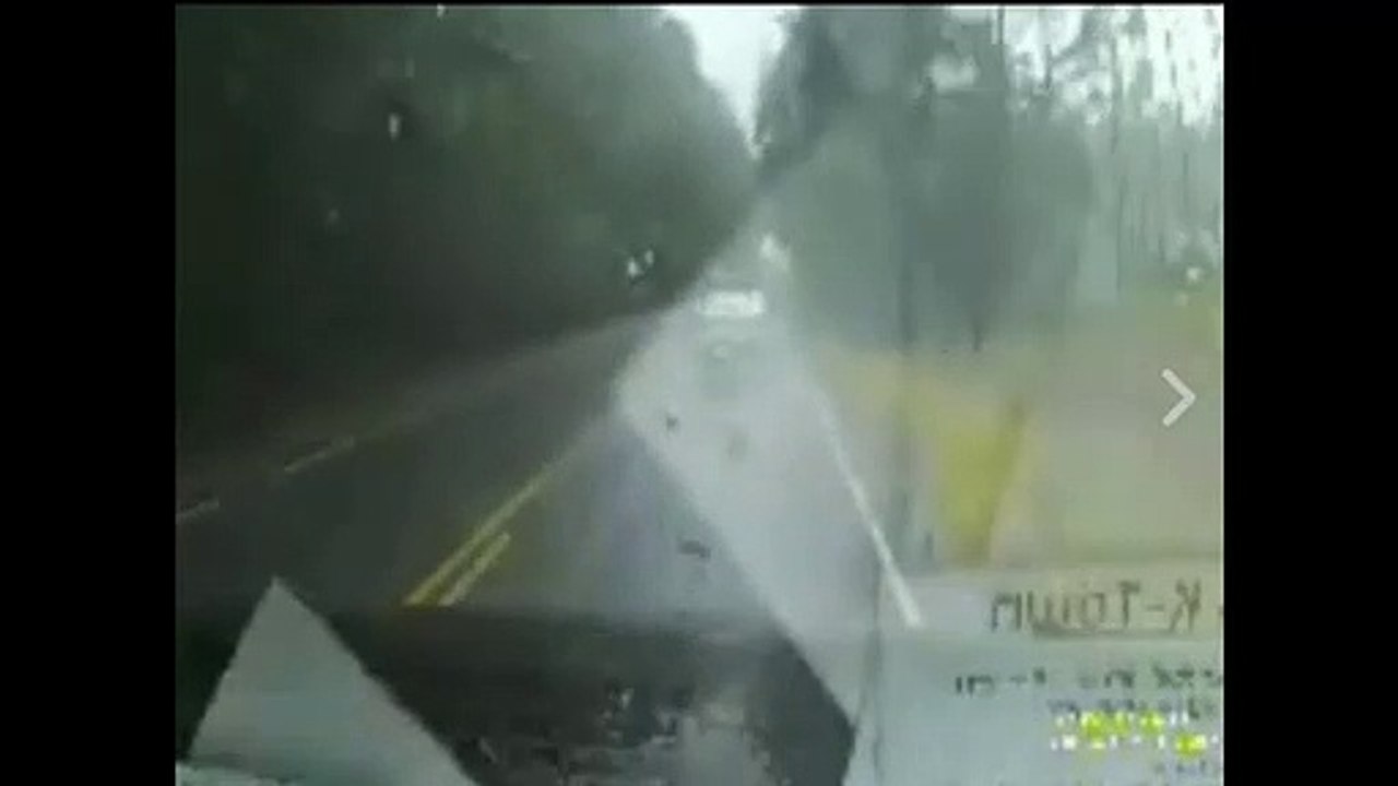 Árvore cai em cima de carro