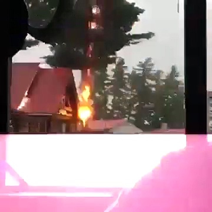 Forte relâmpago destrói árvore durante tempestade no Canadá