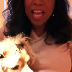 Oprah Winfrey organiza festa temática em homenagem à Mulher Maravilha
