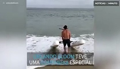 Orlando Bloom nada com golfinhos em Malibu