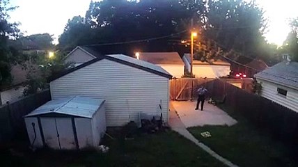 Polícia dispara contra dois cães