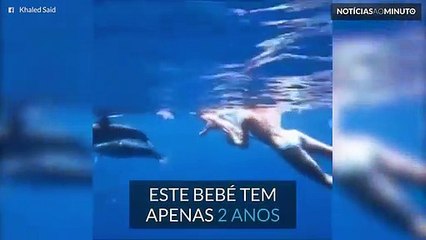 Mãe e bebé nadam com golfinhos