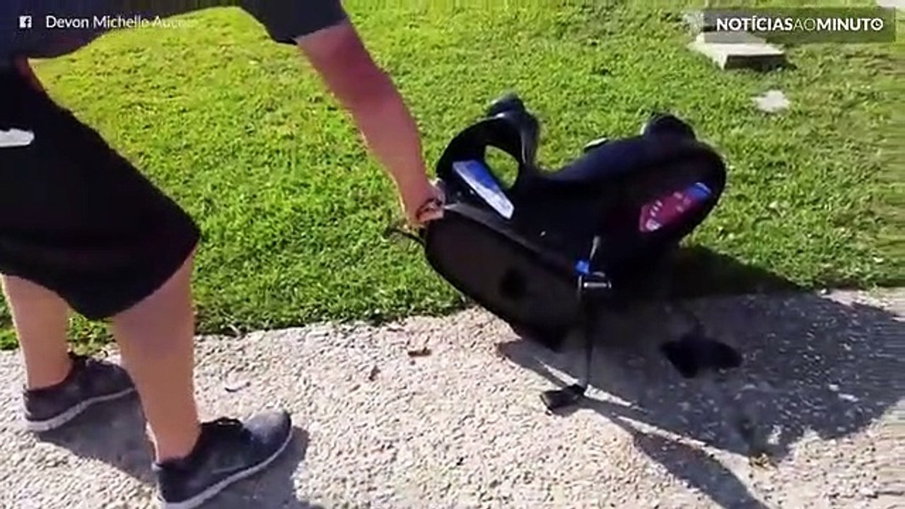 Mãe encontra cobra numa cadeira de criança