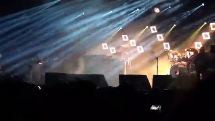 Vocalista dos Deftones parte pé em concerto e continua a cantar