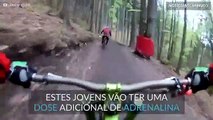 Urso tenta atacar praticantes de Downhill