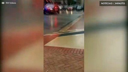 Família de patos com escolta policial!