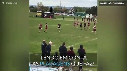 Ganso invade jogo de râguebi!