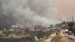 Dozens killed as wildfires rage in Algeria