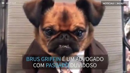 Brus Griffin, o cão advogado que adora cometer crimes