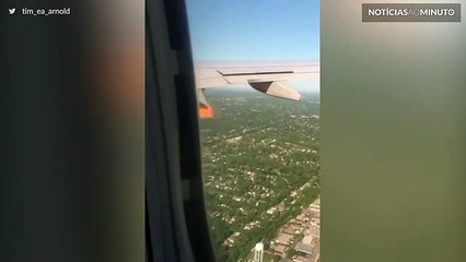 Motor de avião larga chamas depois de bater contra um pássaro