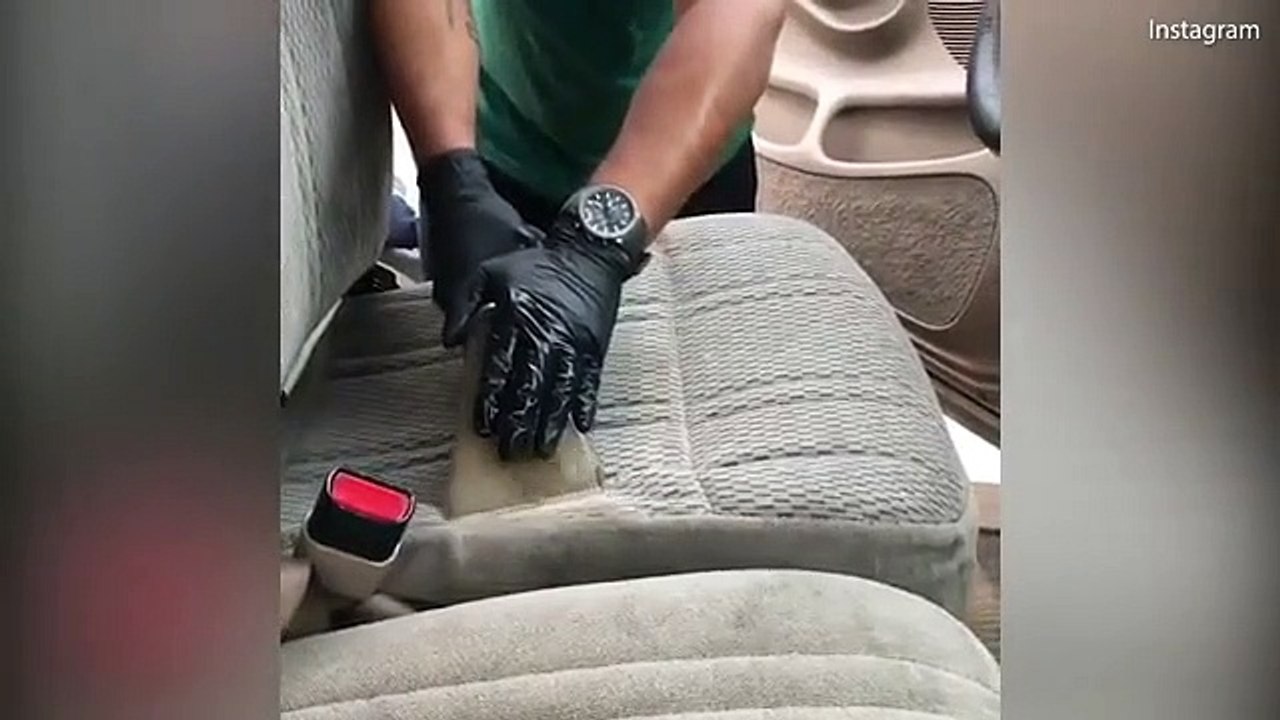 Satisfatório? Ou aterrorizador? O vídeo de um aspirador a limpar um carro