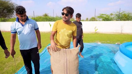 Cotton Bag On Donkey - Donkey Story In Real Life