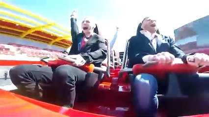 Pombo 'apanha' boleia de montanha russa