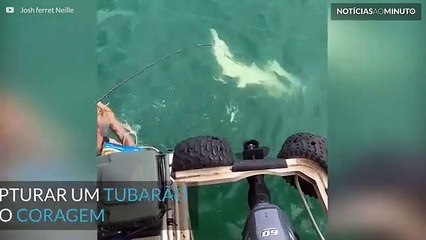 Homem luta com tubarão dentro de água