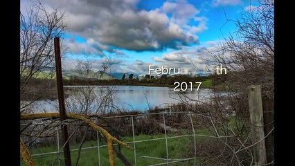 Má disposição (e vómito) arruína pedido de casamento em pleno ar