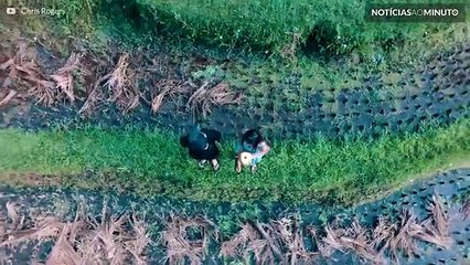 As ilhas de Bali, Gilli e Lombok são um paraíso na terra