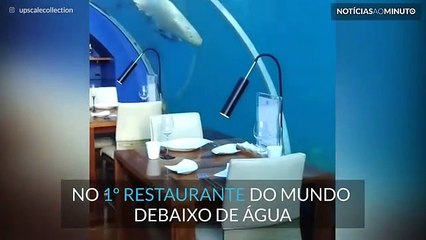 Partilhe uma refeição num restaurante debaixo de água nas Maldivas