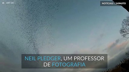 Mais de 10000 pássaros dançam nos céus de Inglaterra