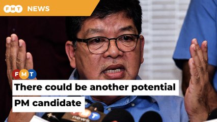 Whoever succeeds Muhyiddin as PM may not be from the opposition, says PKR chief whip