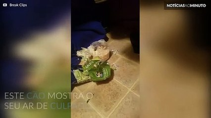 O caso do bolo de arroz.