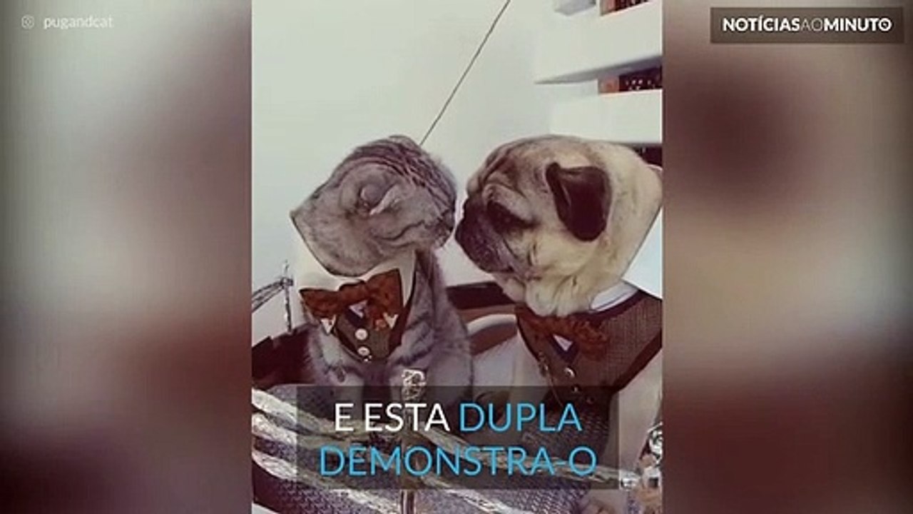 Um amor proibido neste dia dos namorados