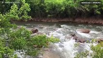 Crocodilo surge de um rio e fica frente a frente com pescador