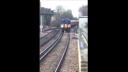 Cisne atrasa comboio