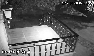 FC Porto divulga imagens de vandalismo