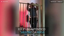 Leo é um bebé que faz da fuga uma rotina diária