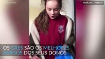 O cão desta menina morreu e os seus pais fizeram-lhe uma surpresa