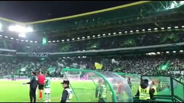 Adeptos do Sporting cantam Vamos Chape