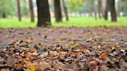 Músculos feitos de nylon? A invenção é do MIT