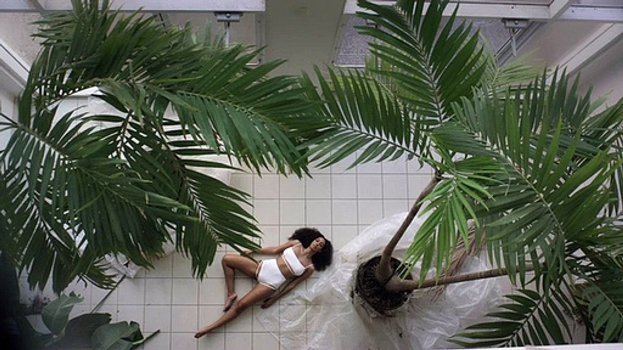 Solange, a irmã de Beyoncé, lança dois vídeos p...