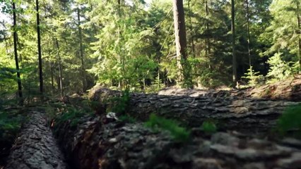 5 Minutes Ambient Music- Music For Meditation, Relax And Stress Relief