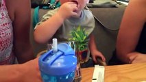 Este bebé odeia mirtilos mas não consegue parar de os comer