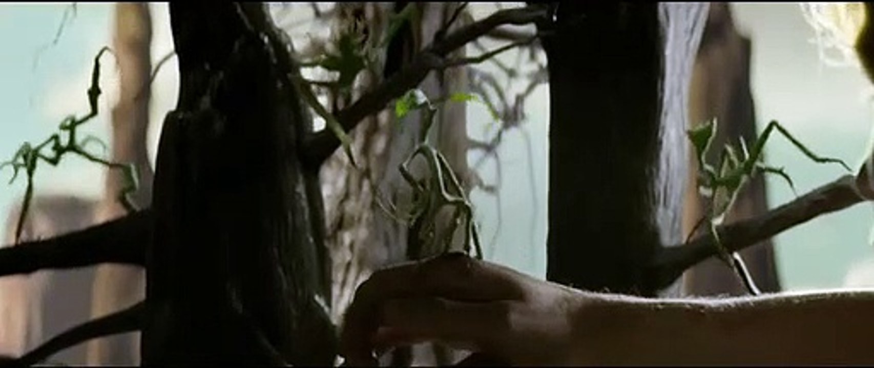 Trailer completo do novo filme da saga Harry Potter já saiu! Monstros Fantásticos e Onde Encontrá-los