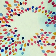 Tânia Ribas de Oliveira mostra os primeiro passos do filho