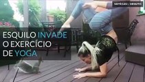 Fazer yoga com um esquilo pode ser uma nova moda!