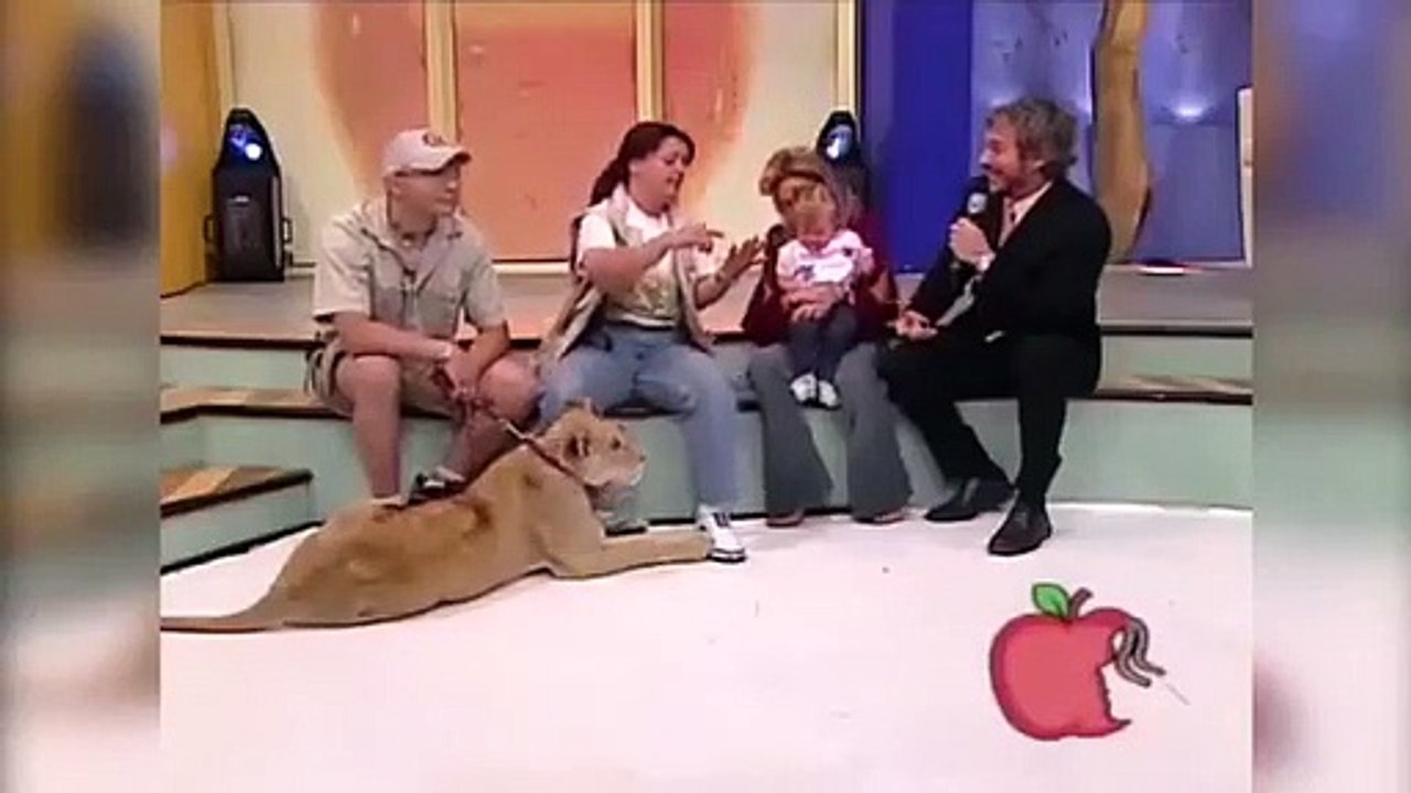 Leão ataca criança em programa em direto